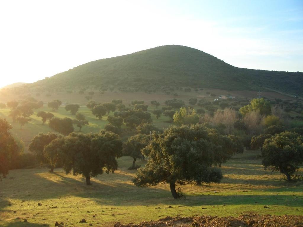 Cortijo El Criadero El Hoyo Ruang foto