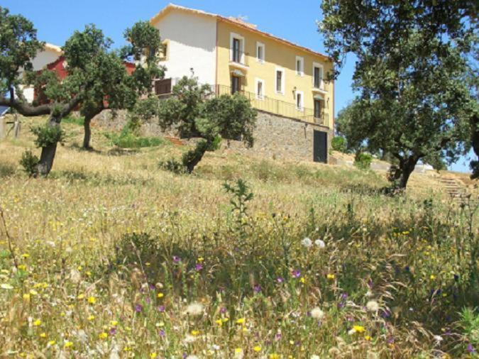 Cortijo El Criadero El Hoyo Bagian luar foto